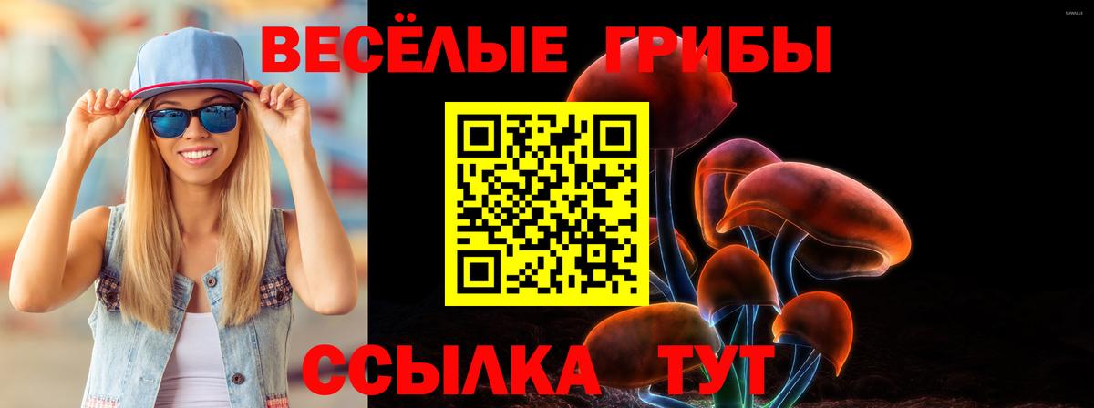 Топки  Галлюциногенные грибы прущие грибы  Вход с VPN  Галлюциногенные грибы Cubensis 